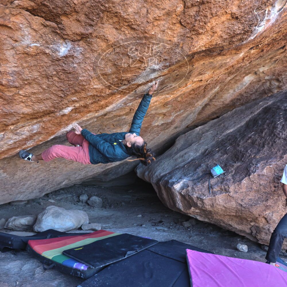 Filename: SRM_20221220_1051150.jpg
Aperture: f/3.5
Shutter Speed: 1/320
Body: Canon EOS R6
Lens: Canon EF 16-35mm f/2.8 L