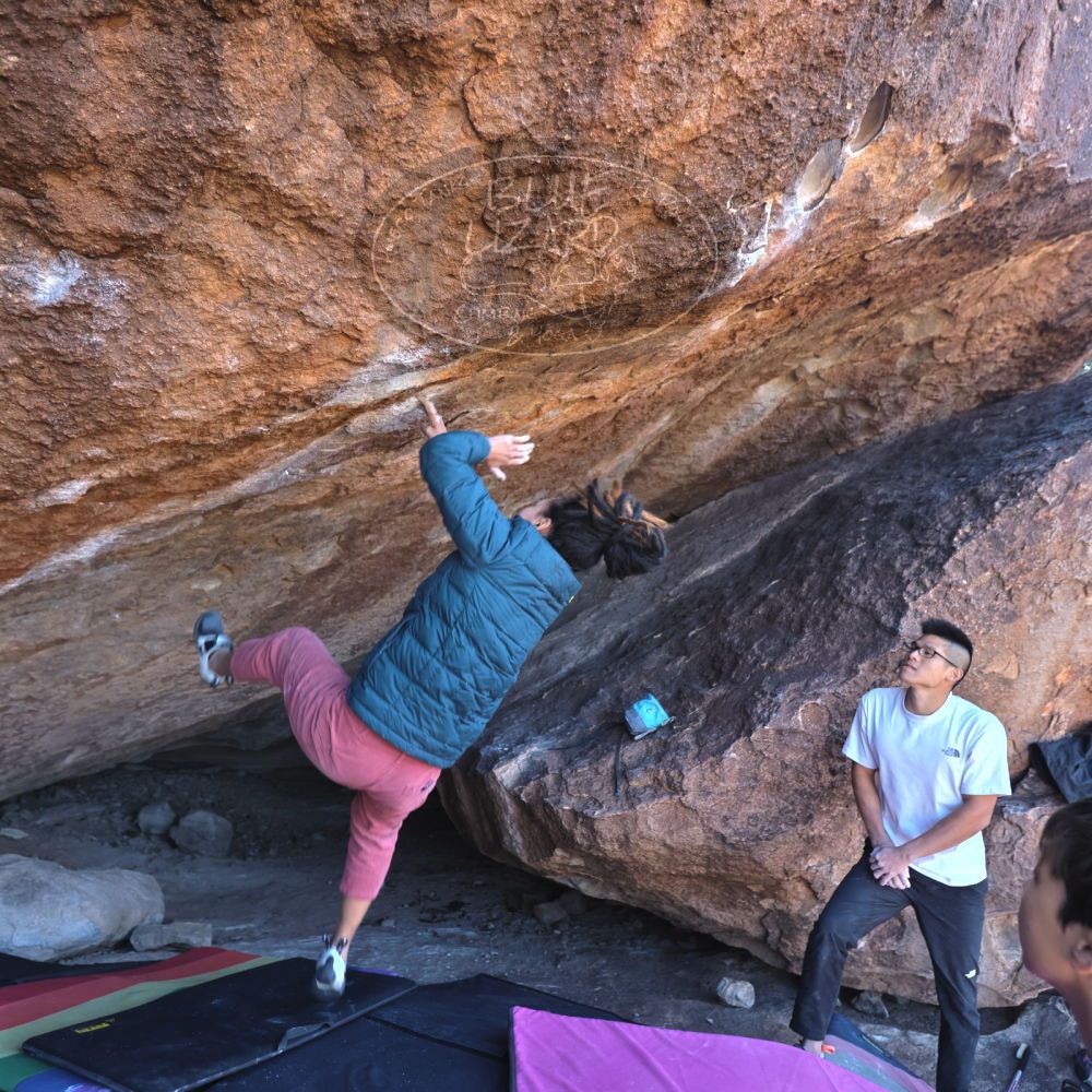 

Filename: SRM_20221220_1051270.jpg
Aperture: f/3.5
Shutter Speed: 1/320
Body: Canon EOS R6
Lens: Canon EF 16-35mm f/2.8 L