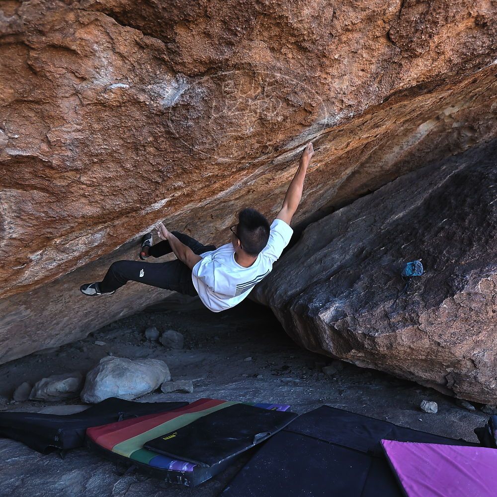 Filename: SRM_20221220_1052260.jpg
Aperture: f/3.5
Shutter Speed: 1/320
Body: Canon EOS R6
Lens: Canon EF 16-35mm f/2.8 L