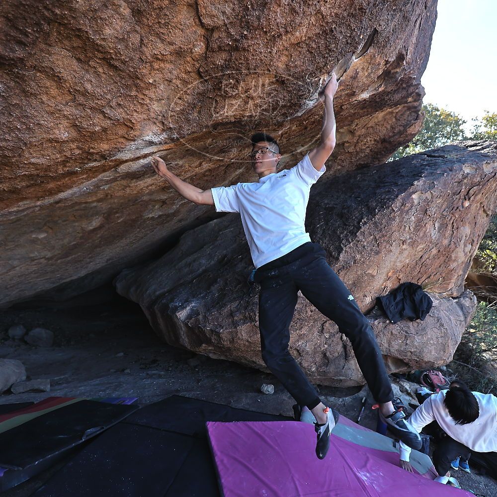 Filename: SRM_20221220_1052351.jpg
Aperture: f/3.5
Shutter Speed: 1/320
Body: Canon EOS R6
Lens: Canon EF 16-35mm f/2.8 L