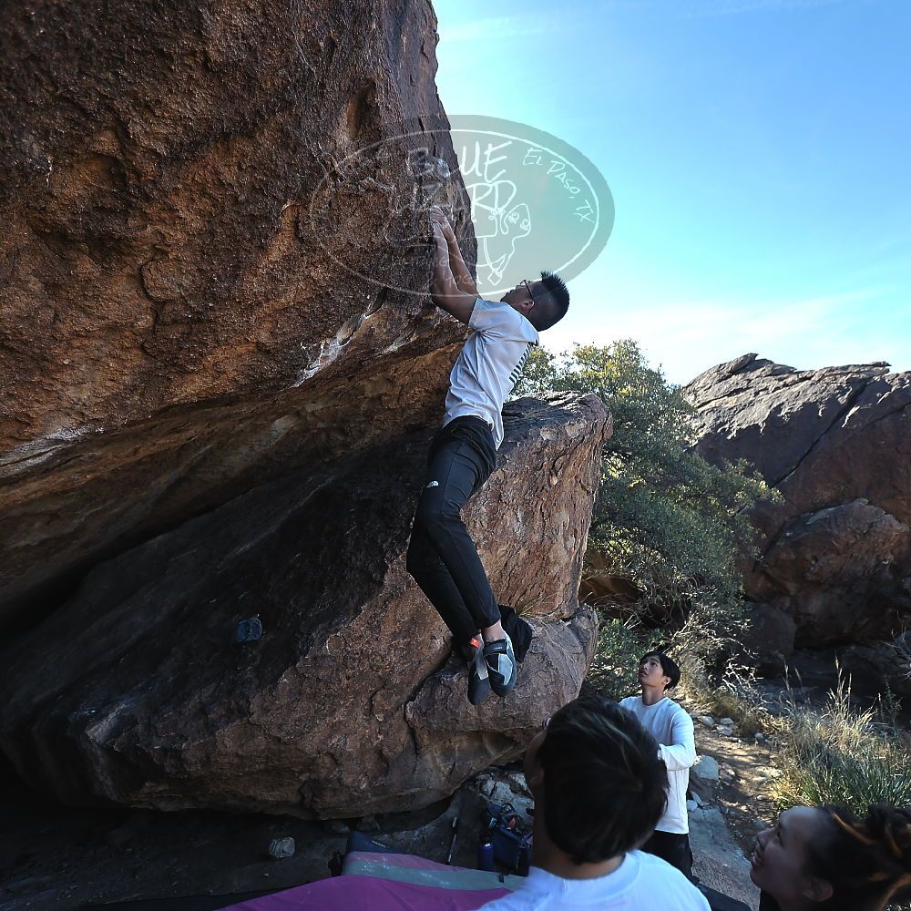 Filename: SRM_20221220_1052430.jpg
Aperture: f/3.5
Shutter Speed: 1/320
Body: Canon EOS R6
Lens: Canon EF 16-35mm f/2.8 L