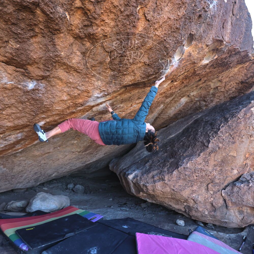 

Filename: SRM_20221220_1055200.jpg
Aperture: f/3.5
Shutter Speed: 1/320
Body: Canon EOS R6
Lens: Canon EF 16-35mm f/2.8 L