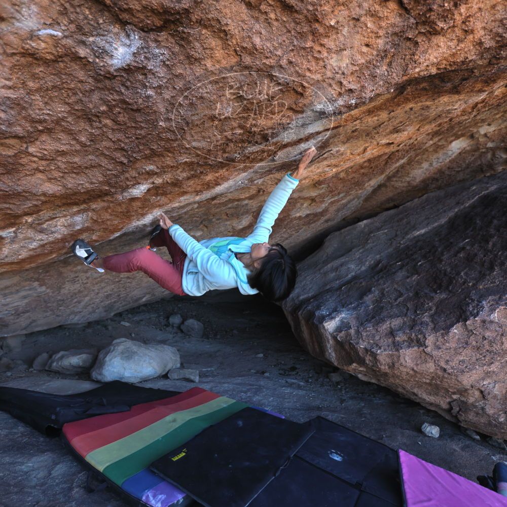 

Filename: SRM_20221220_1059140.jpg
Aperture: f/3.5
Shutter Speed: 1/320
Body: Canon EOS R6
Lens: Canon EF 16-35mm f/2.8 L