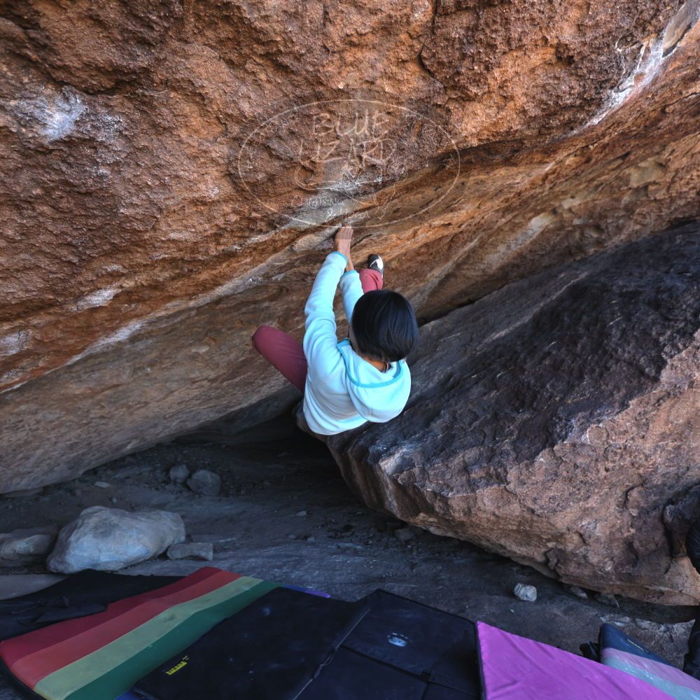 

Filename: SRM_20221220_1059250.jpg
Aperture: f/3.5
Shutter Speed: 1/320
Body: Canon EOS R6
Lens: Canon EF 16-35mm f/2.8 L