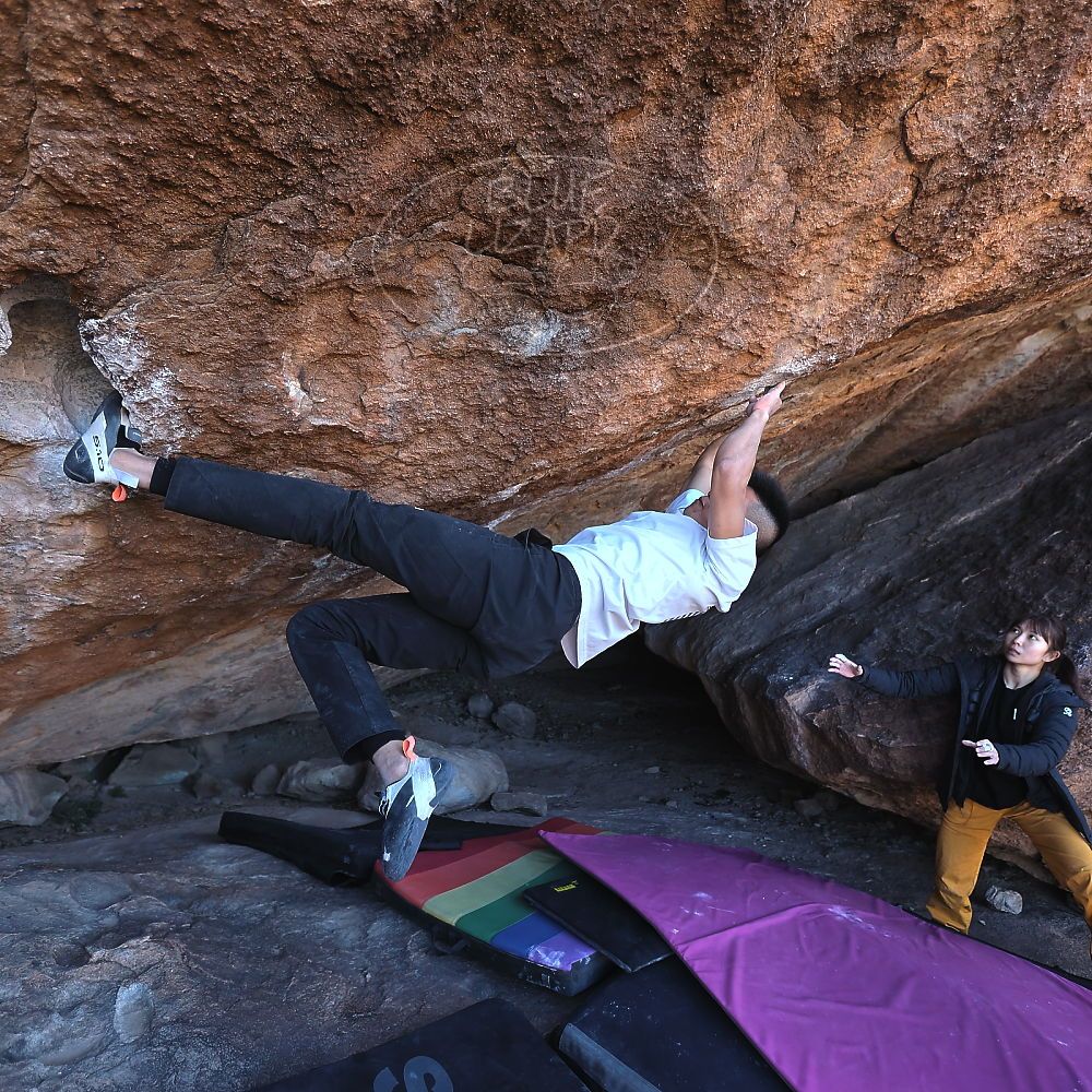 Filename: SRM_20221220_1101190.jpg
Aperture: f/3.5
Shutter Speed: 1/320
Body: Canon EOS R6
Lens: Canon EF 16-35mm f/2.8 L