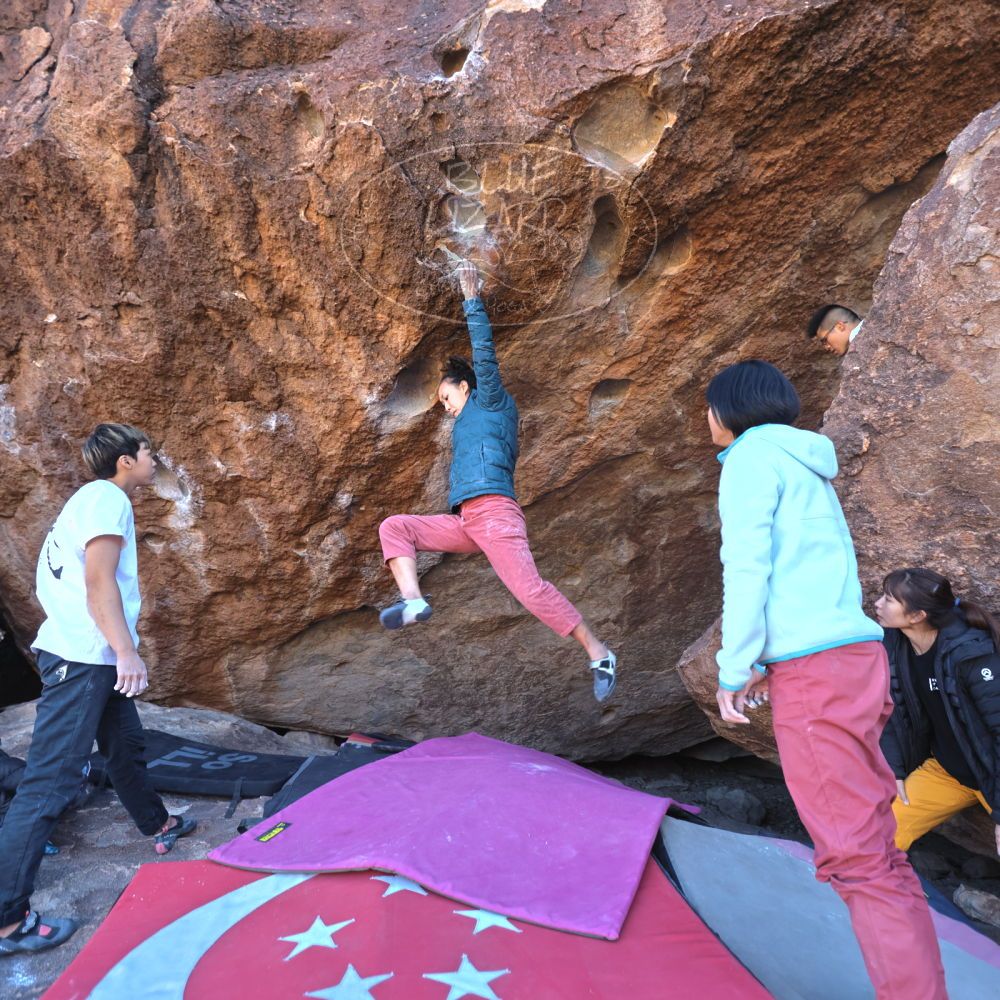 Filename: SRM_20221220_1102300.jpg
Aperture: f/3.5
Shutter Speed: 1/320
Body: Canon EOS R6
Lens: Canon EF 16-35mm f/2.8 L