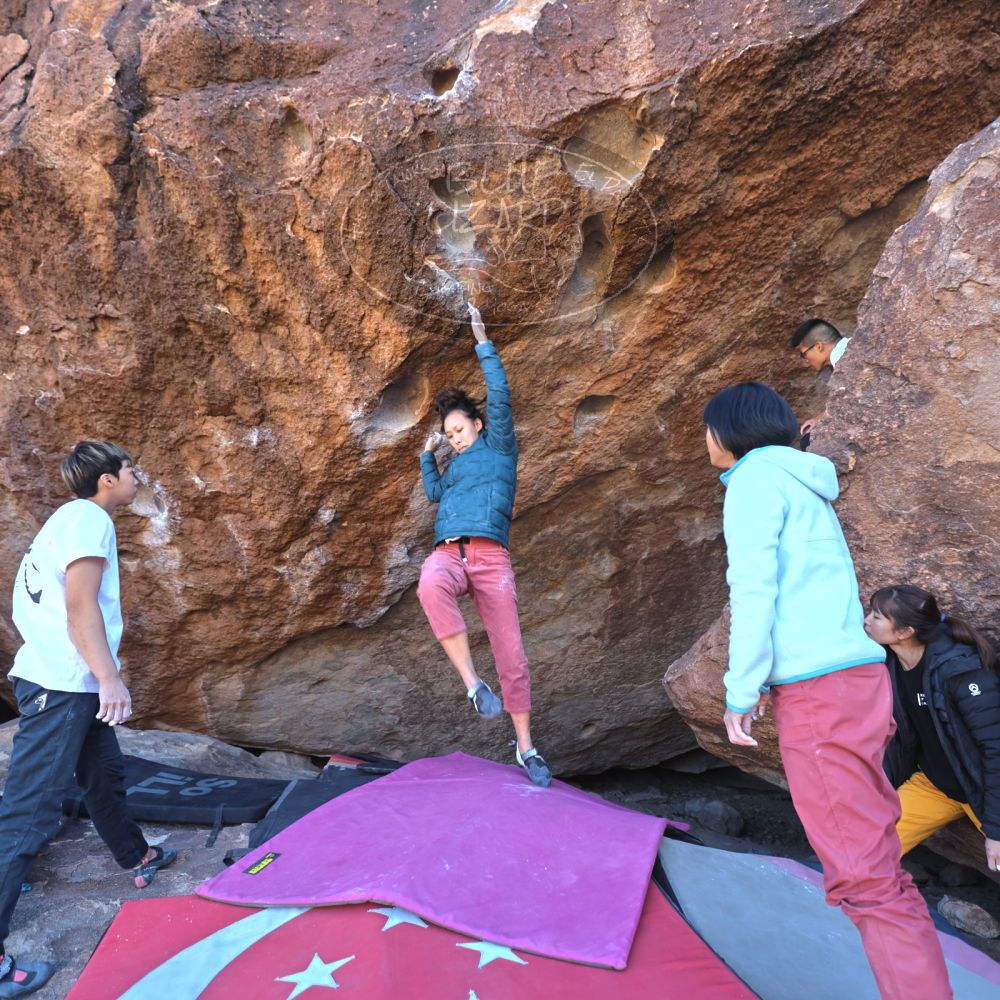 

Filename: SRM_20221220_1102301.jpg
Aperture: f/3.5
Shutter Speed: 1/320
Body: Canon EOS R6
Lens: Canon EF 16-35mm f/2.8 L