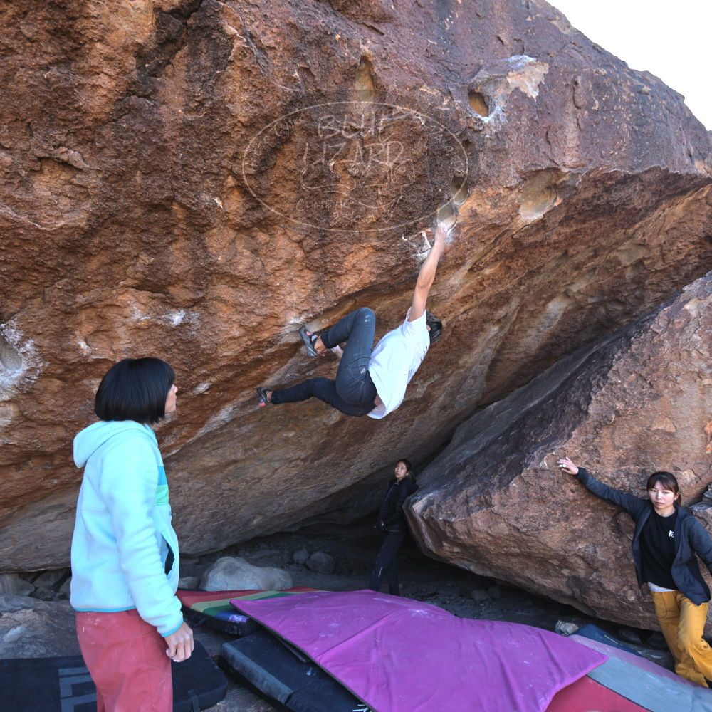 

Filename: SRM_20221220_1107160.jpg
Aperture: f/3.5
Shutter Speed: 1/320
Body: Canon EOS R6
Lens: Canon EF 16-35mm f/2.8 L