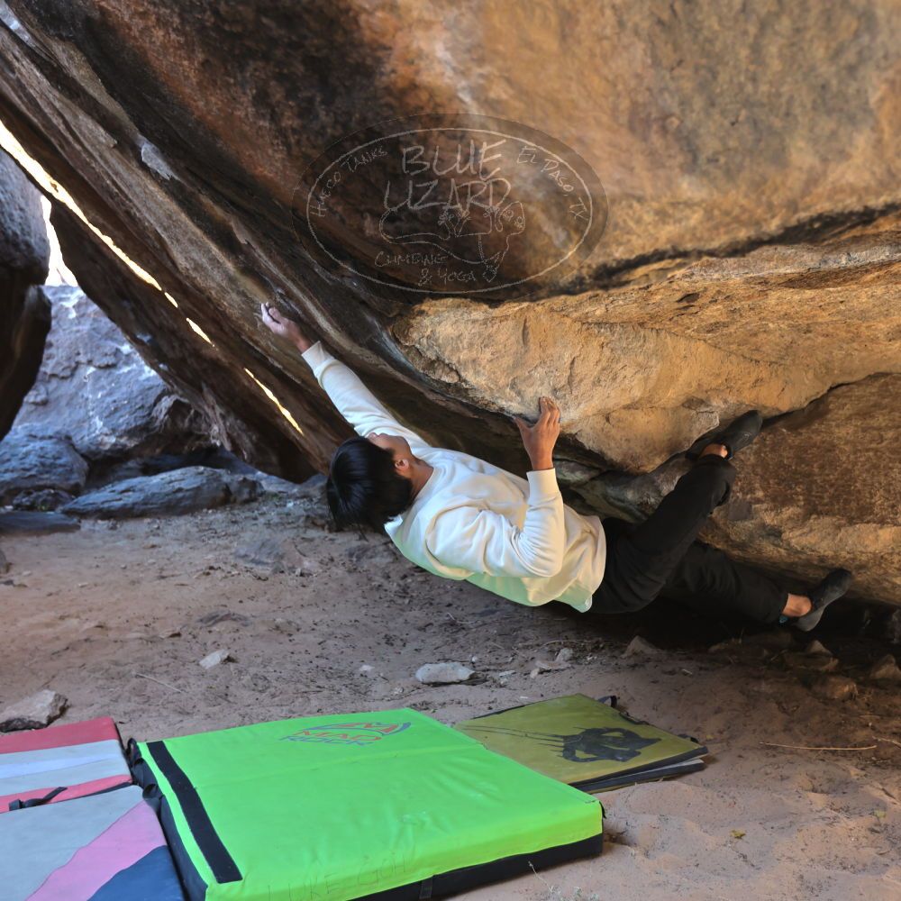 Filename: SRM_20221220_1115130.jpg
Aperture: f/3.5
Shutter Speed: 1/320
Body: Canon EOS R6
Lens: Canon EF 16-35mm f/2.8 L