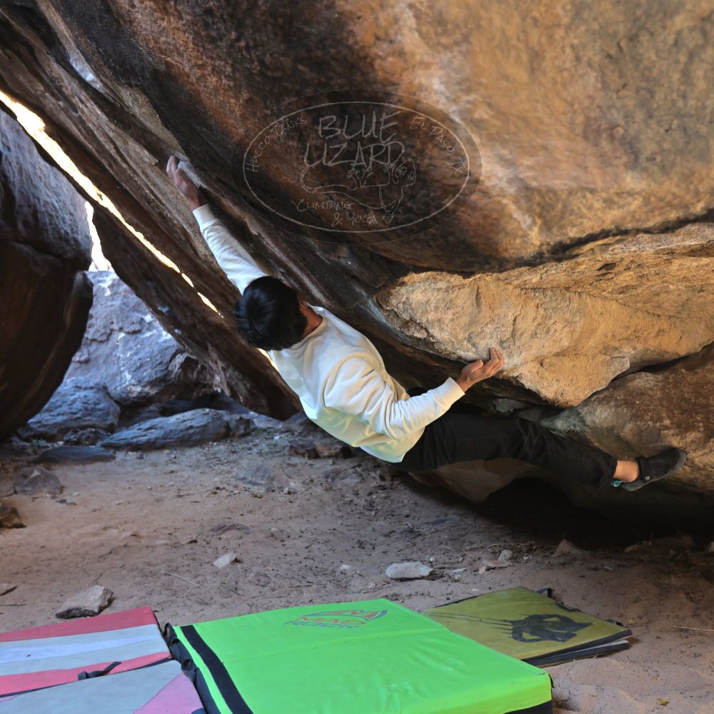 

Filename: SRM_20221220_1115170.jpg
Aperture: f/3.5
Shutter Speed: 1/320
Body: Canon EOS R6
Lens: Canon EF 16-35mm f/2.8 L