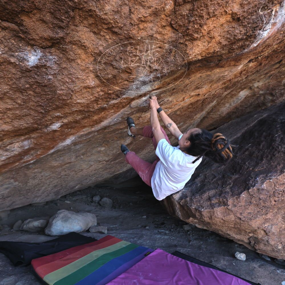 Filename: SRM_20221220_1118420.jpg
Aperture: f/5.6
Shutter Speed: 1/400
Body: Canon EOS R6
Lens: Canon EF 16-35mm f/2.8 L