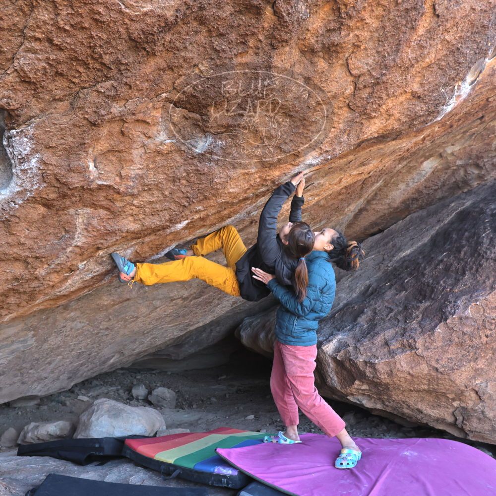 

Filename: SRM_20221220_1130260.jpg
Aperture: f/5.6
Shutter Speed: 1/400
Body: Canon EOS R6
Lens: Canon EF 16-35mm f/2.8 L