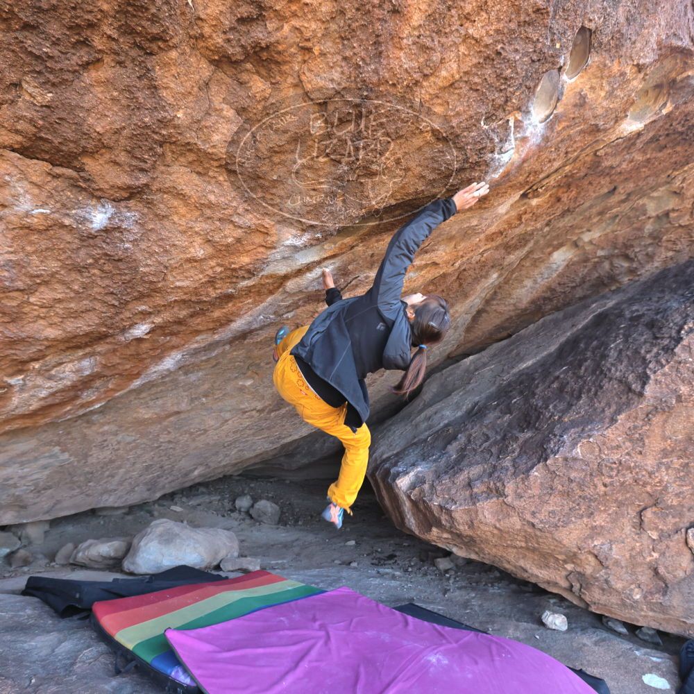 

Filename: SRM_20221220_1131490.jpg
Aperture: f/5.6
Shutter Speed: 1/400
Body: Canon EOS R6
Lens: Canon EF 16-35mm f/2.8 L