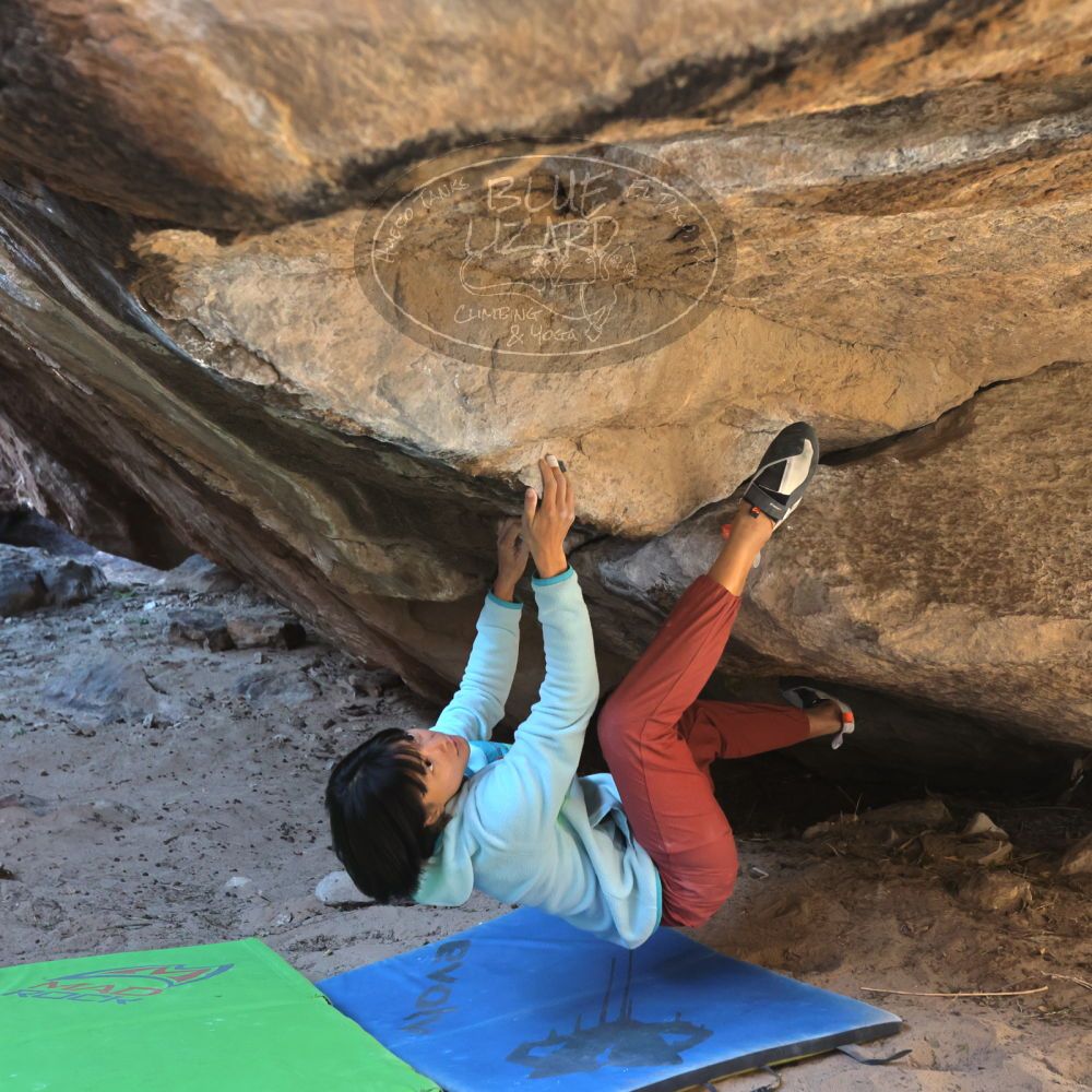 Filename: SRM_20221220_1137000.jpg
Aperture: f/5.6
Shutter Speed: 1/400
Body: Canon EOS R6
Lens: Canon EF 16-35mm f/2.8 L