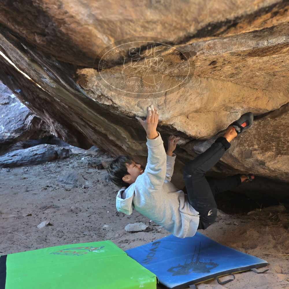 Filename: SRM_20221220_1137400.jpg
Aperture: f/5.6
Shutter Speed: 1/400
Body: Canon EOS R6
Lens: Canon EF 16-35mm f/2.8 L