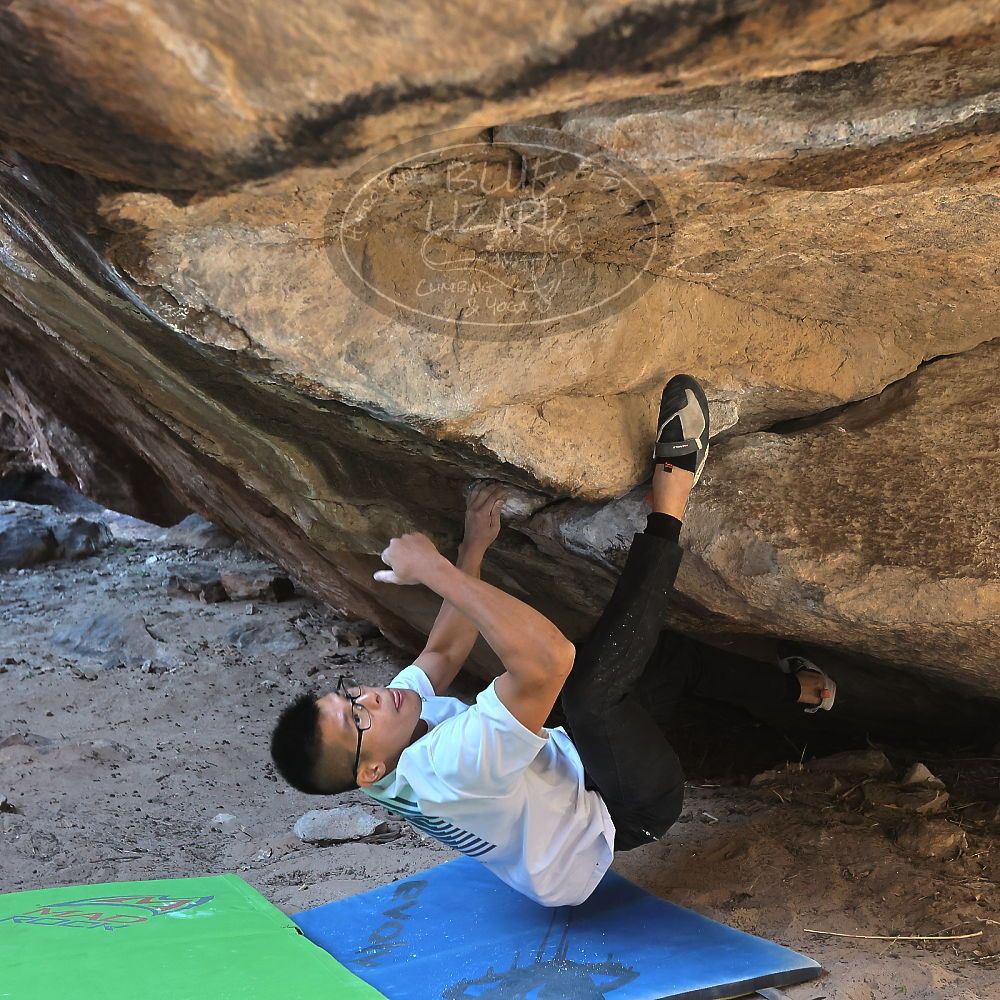 Filename: SRM_20221220_1139270.jpg
Aperture: f/5.6
Shutter Speed: 1/320
Body: Canon EOS R6
Lens: Canon EF 16-35mm f/2.8 L