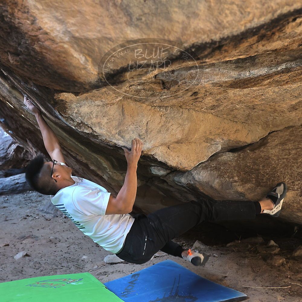 

Filename: SRM_20221220_1139320.jpg
Aperture: f/5.6
Shutter Speed: 1/320
Body: Canon EOS R6
Lens: Canon EF 16-35mm f/2.8 L