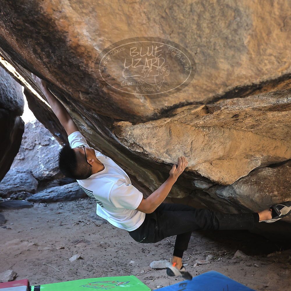 

Filename: SRM_20221220_1140020.jpg
Aperture: f/5.6
Shutter Speed: 1/320
Body: Canon EOS R6
Lens: Canon EF 16-35mm f/2.8 L