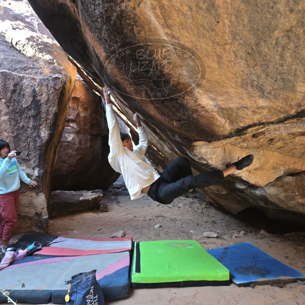 Filename: SRM_20221220_1142210.jpg
Aperture: f/5.6
Shutter Speed: 1/320
Body: Canon EOS R6
Lens: Canon EF 16-35mm f/2.8 L