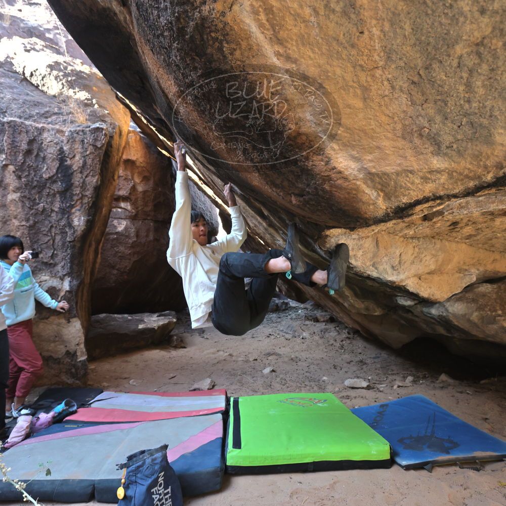 Filename: SRM_20221220_1142230.jpg
Aperture: f/5.6
Shutter Speed: 1/320
Body: Canon EOS R6
Lens: Canon EF 16-35mm f/2.8 L