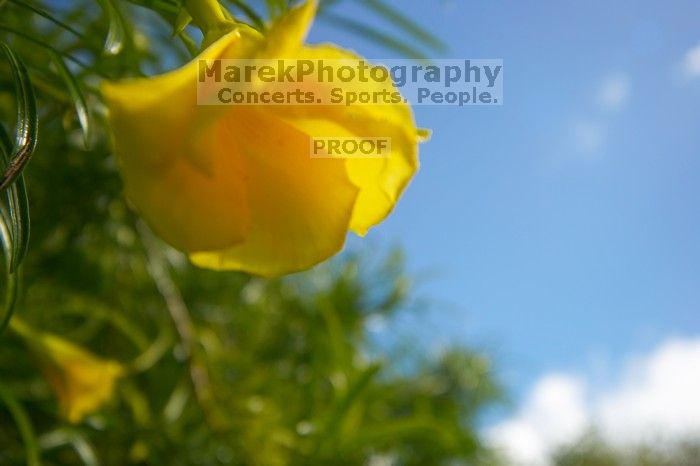 Bike trip down Haleakala. Trip to Maui, Hawai'i, 2007.
Filename: SRM_20071221_1151298.jpg
Aperture: f/8.0
Shutter Speed: 1/250
Body: Canon EOS-1D Mark II
Lens: Sigma 15-30mm f/3.5-4.5 EX Aspherical DG DF