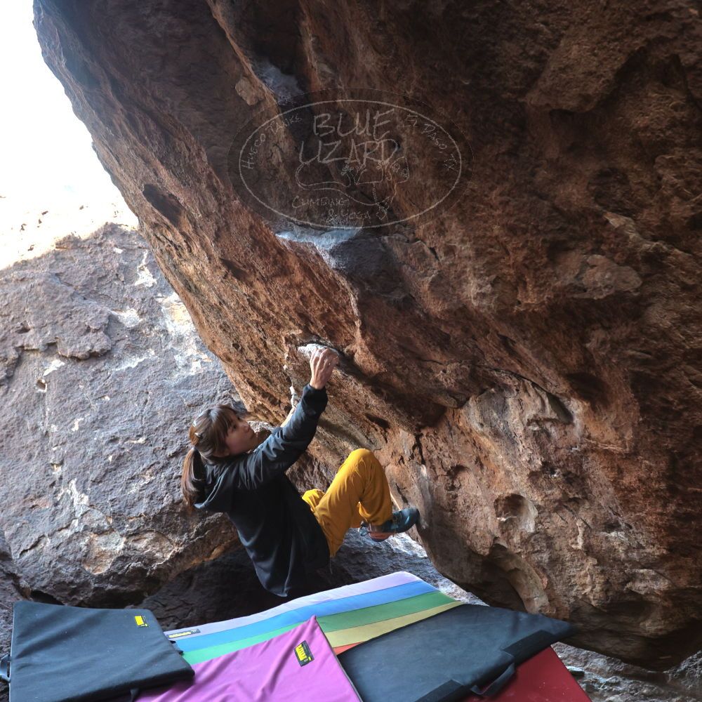 

Filename: SRM_20221220_1154020.jpg
Aperture: f/5.6
Shutter Speed: 1/320
Body: Canon EOS R6
Lens: Canon EF 16-35mm f/2.8 L