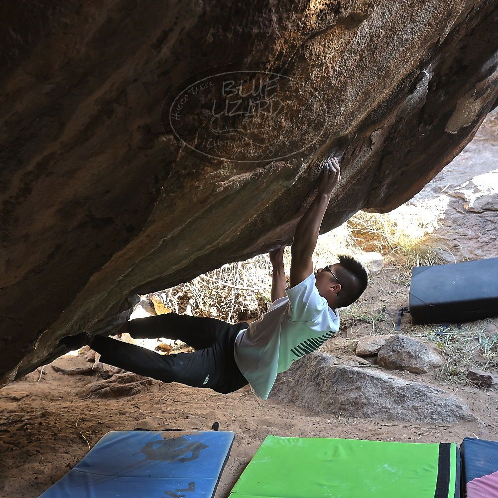 Filename: SRM_20221220_1156271.jpg
Aperture: f/5.6
Shutter Speed: 1/320
Body: Canon EOS R6
Lens: Canon EF 16-35mm f/2.8 L