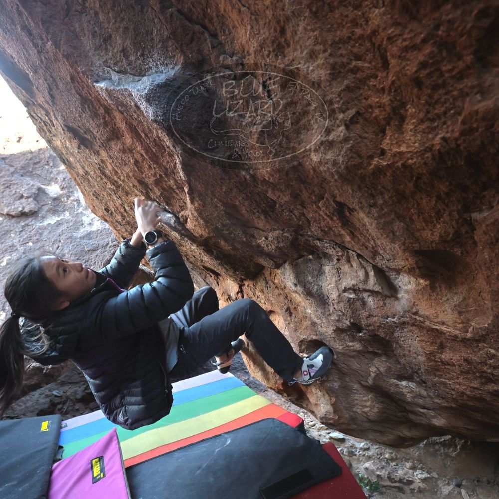 Filename: SRM_20221220_1158430.jpg
Aperture: f/5.6
Shutter Speed: 1/320
Body: Canon EOS R6
Lens: Canon EF 16-35mm f/2.8 L