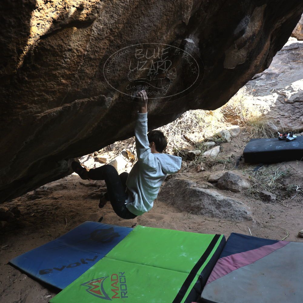 Filename: SRM_20221220_1201440.jpg
Aperture: f/5.6
Shutter Speed: 1/320
Body: Canon EOS R6
Lens: Canon EF 16-35mm f/2.8 L