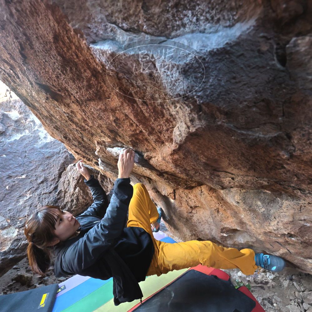 

Filename: SRM_20221220_1204290.jpg
Aperture: f/5.6
Shutter Speed: 1/320
Body: Canon EOS R6
Lens: Canon EF 16-35mm f/2.8 L