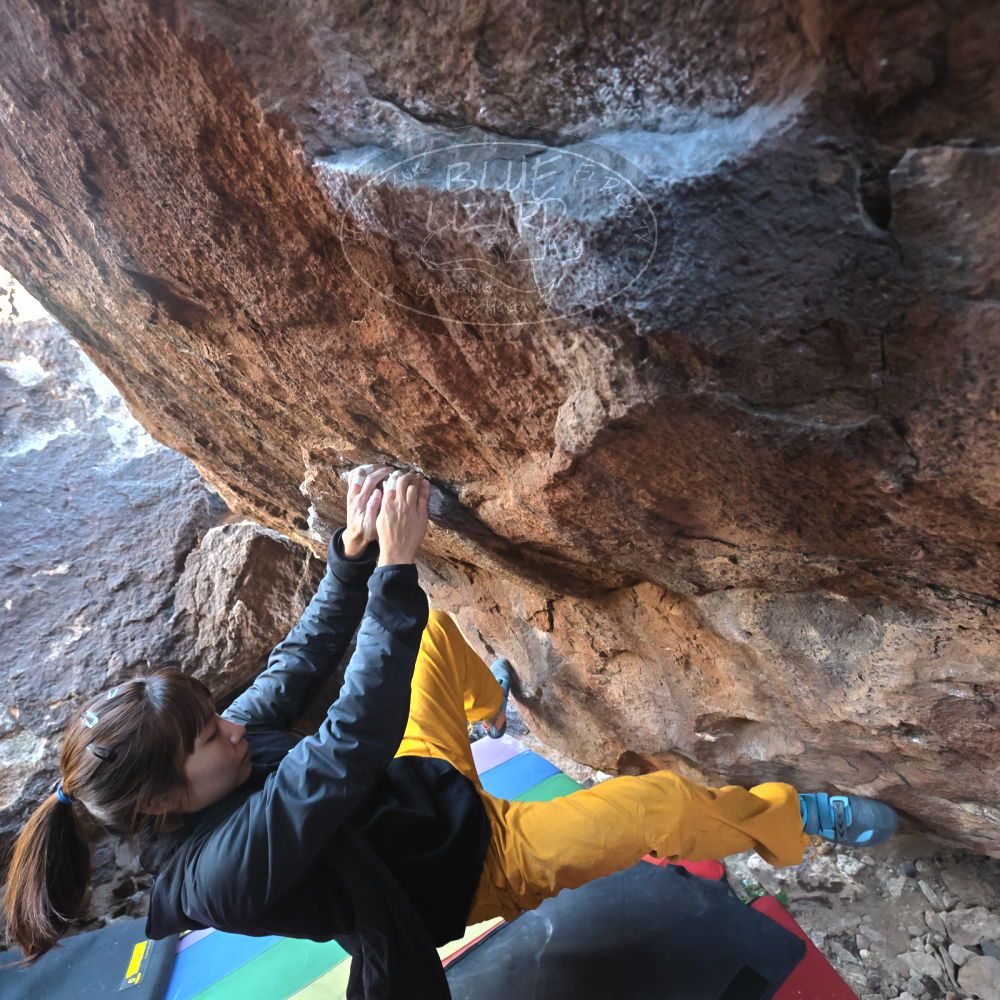 

Filename: SRM_20221220_1204300.jpg
Aperture: f/5.6
Shutter Speed: 1/320
Body: Canon EOS R6
Lens: Canon EF 16-35mm f/2.8 L