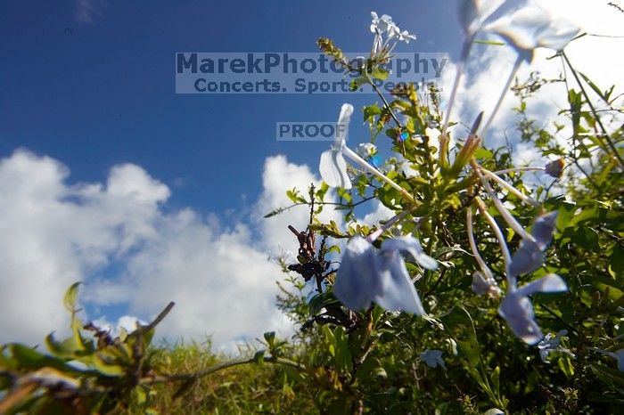 Bike trip down Haleakala. Trip to Maui, Hawai'i, 2007.
Filename: SRM_20071221_1152443.jpg
Aperture: f/16.0
Shutter Speed: 1/400
Body: Canon EOS-1D Mark II
Lens: Sigma 15-30mm f/3.5-4.5 EX Aspherical DG DF