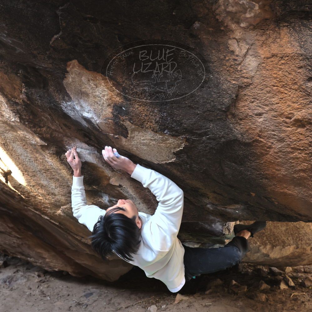 

Filename: SRM_20221220_1207050.jpg
Aperture: f/5.6
Shutter Speed: 1/320
Body: Canon EOS R6
Lens: Canon EF 16-35mm f/2.8 L