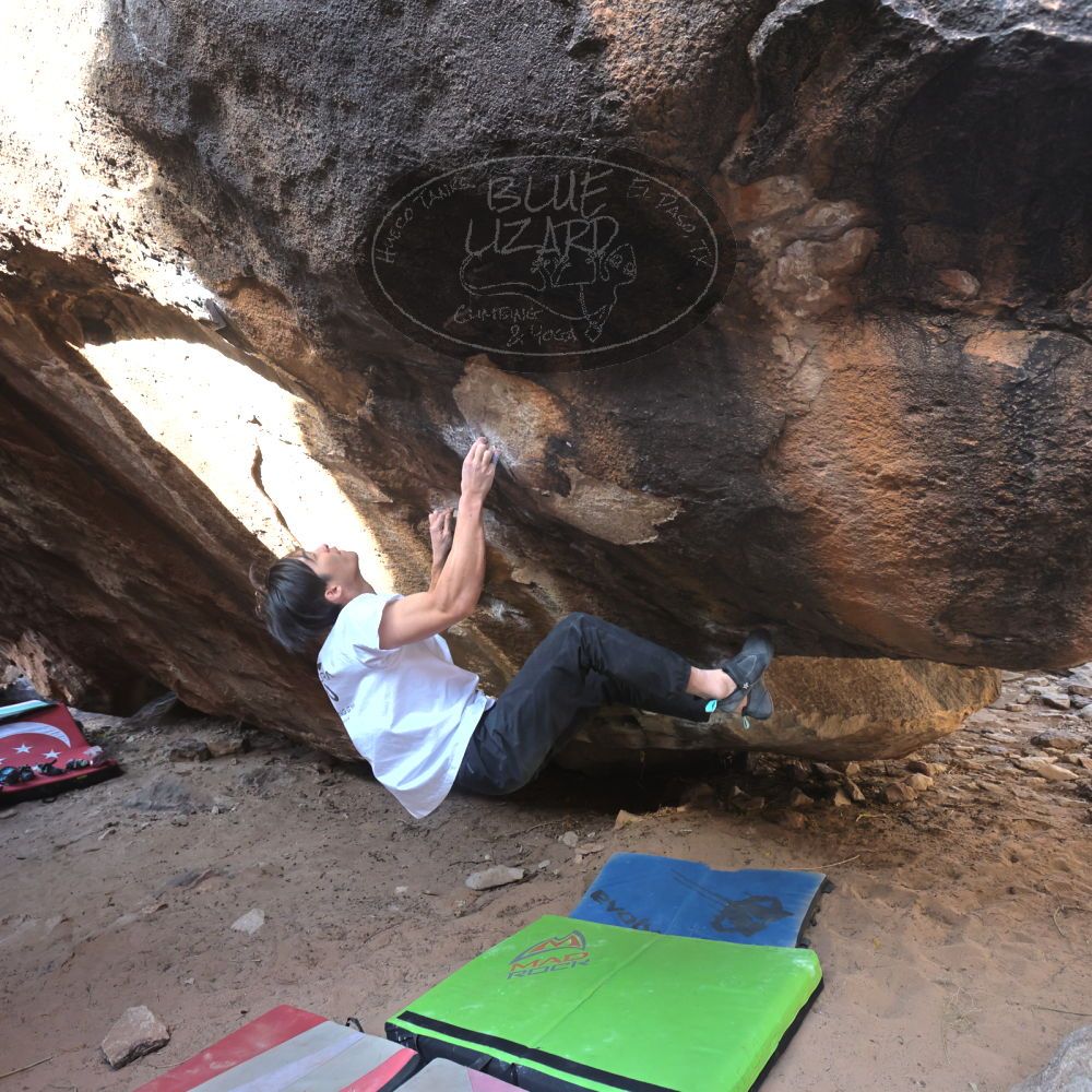 Filename: SRM_20221220_1217300.jpg
Aperture: f/5.6
Shutter Speed: 1/320
Body: Canon EOS R6
Lens: Canon EF 16-35mm f/2.8 L