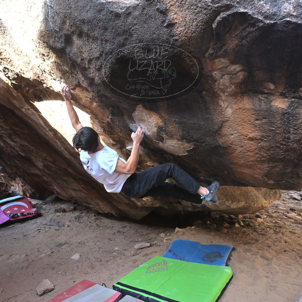 Filename: SRM_20221220_1217310.jpg
Aperture: f/5.6
Shutter Speed: 1/320
Body: Canon EOS R6
Lens: Canon EF 16-35mm f/2.8 L