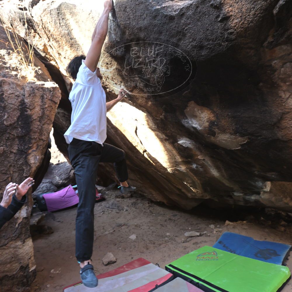 

Filename: SRM_20221220_1217412.jpg
Aperture: f/5.6
Shutter Speed: 1/320
Body: Canon EOS R6
Lens: Canon EF 16-35mm f/2.8 L