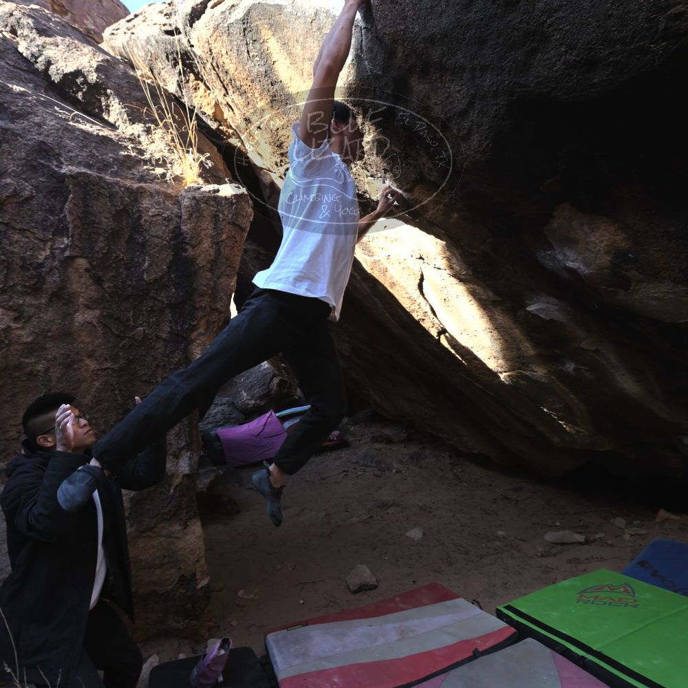 Filename: SRM_20221220_1217414.jpg
Aperture: f/5.6
Shutter Speed: 1/320
Body: Canon EOS R6
Lens: Canon EF 16-35mm f/2.8 L