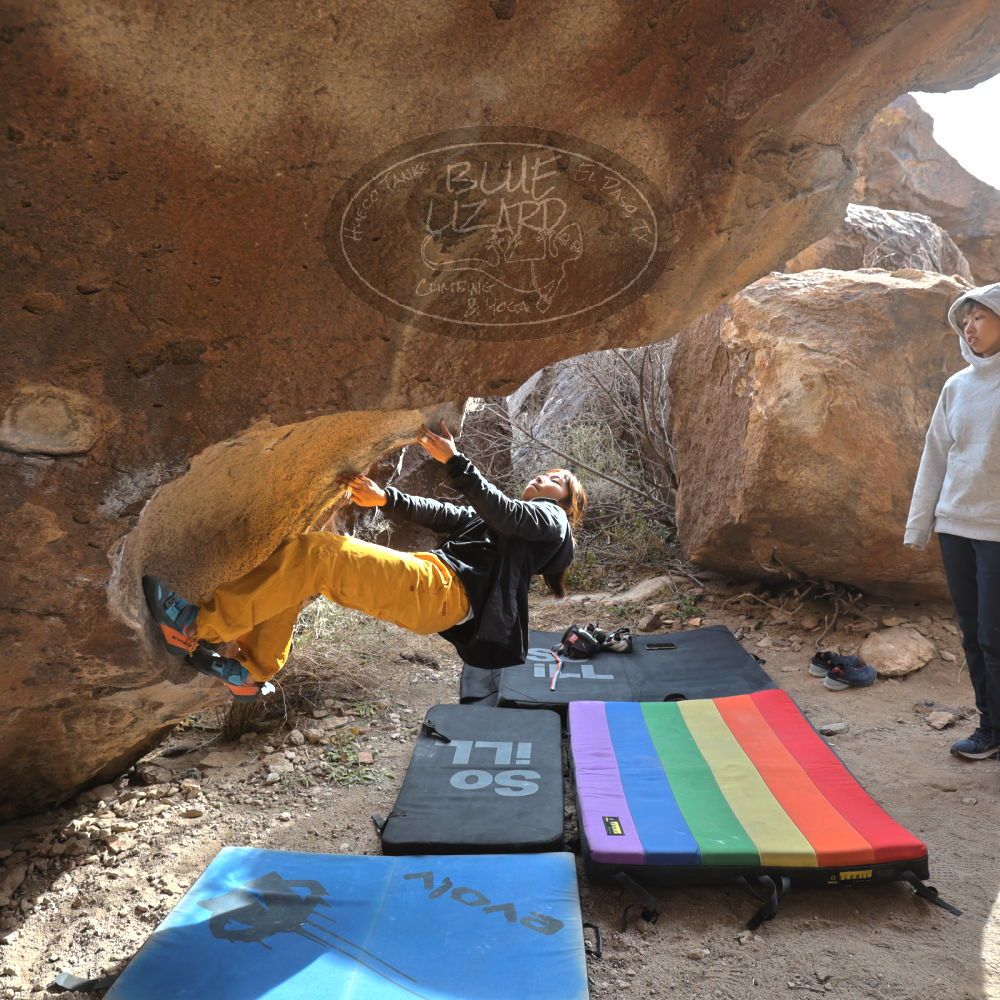 

Filename: SRM_20221220_1312471.jpg
Aperture: f/5.6
Shutter Speed: 1/200
Body: Canon EOS R6
Lens: Canon EF 16-35mm f/2.8 L