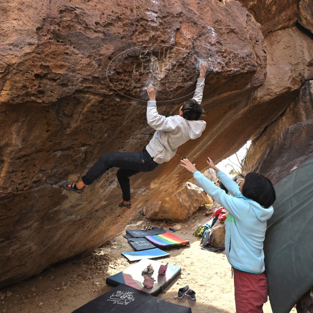 Filename: SRM_20221220_1317420.jpg
Aperture: f/5.6
Shutter Speed: 1/200
Body: Canon EOS R6
Lens: Canon EF 16-35mm f/2.8 L