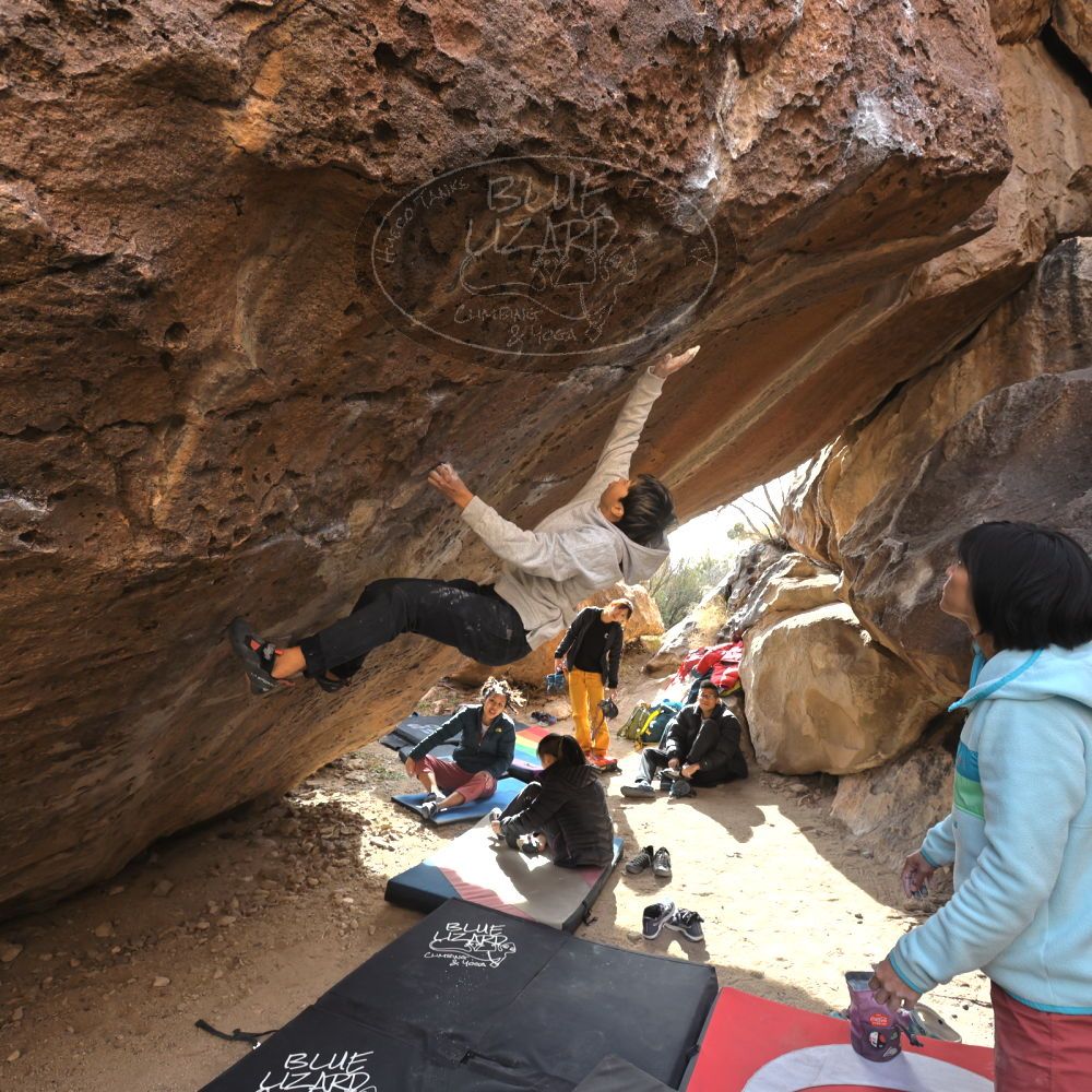 Filename: SRM_20221220_1324060.jpg
Aperture: f/5.6
Shutter Speed: 1/500
Body: Canon EOS R6
Lens: Canon EF 16-35mm f/2.8 L