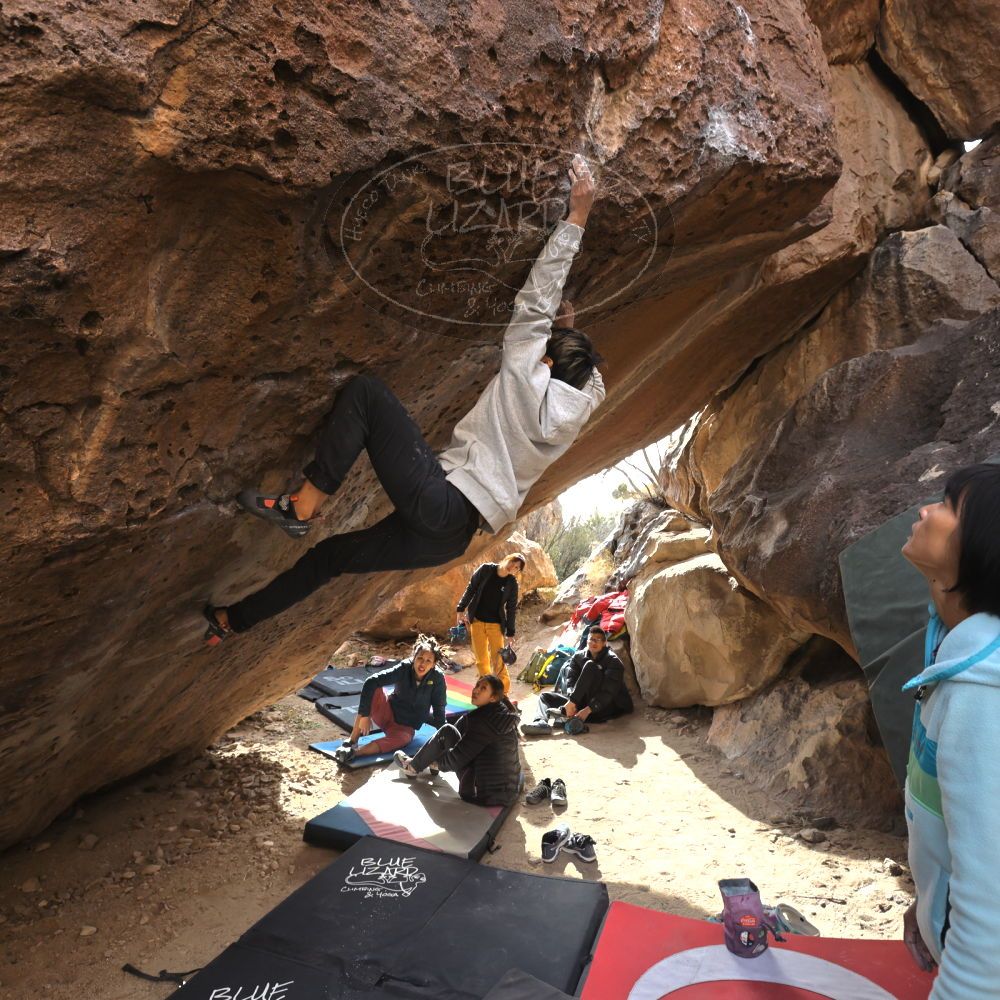 

Filename: SRM_20221220_1324120.jpg
Aperture: f/5.6
Shutter Speed: 1/500
Body: Canon EOS R6
Lens: Canon EF 16-35mm f/2.8 L