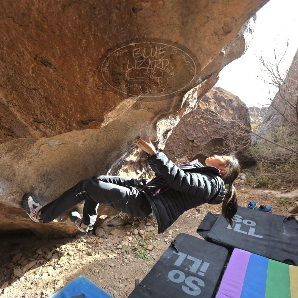 Filename: SRM_20221220_1324460.jpg
Aperture: f/5.6
Shutter Speed: 1/500
Body: Canon EOS R6
Lens: Canon EF 16-35mm f/2.8 L