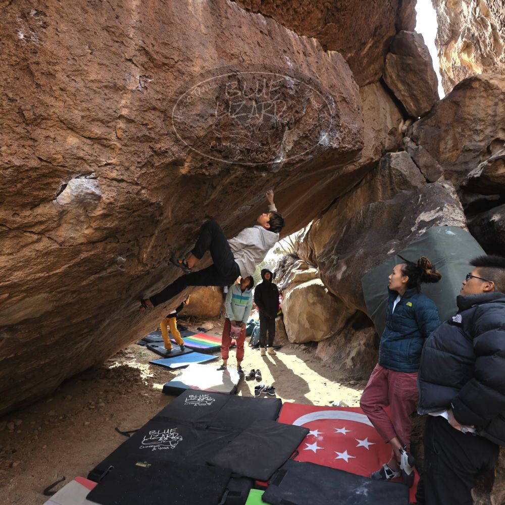 Filename: SRM_20221220_1329250.jpg
Aperture: f/5.6
Shutter Speed: 1/500
Body: Canon EOS R6
Lens: Canon EF 16-35mm f/2.8 L