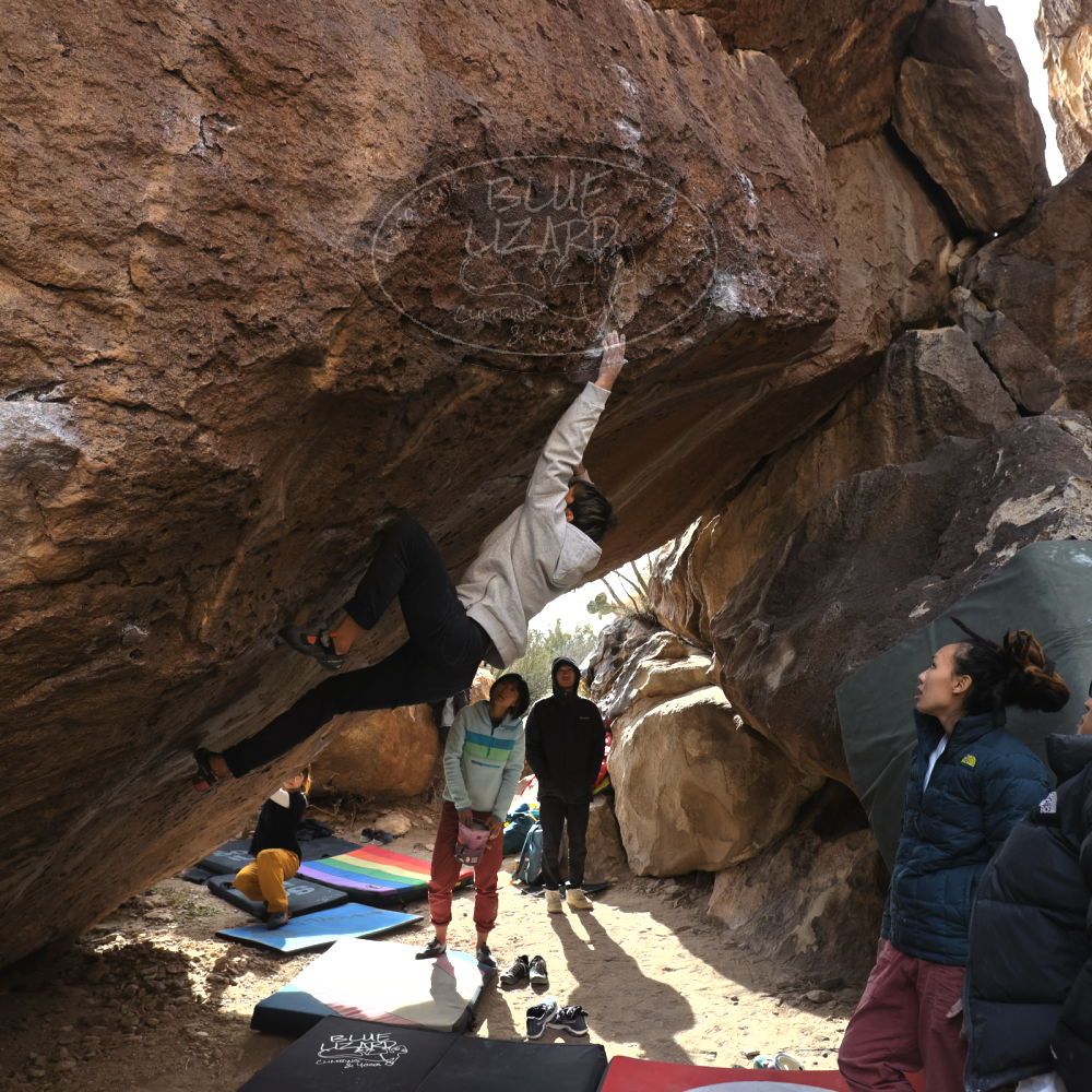 Filename: SRM_20221220_1329270.jpg
Aperture: f/5.6
Shutter Speed: 1/500
Body: Canon EOS R6
Lens: Canon EF 16-35mm f/2.8 L