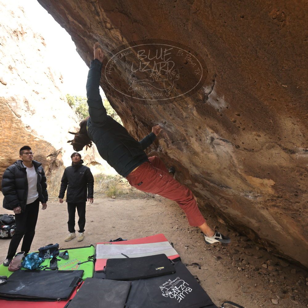 Filename: SRM_20221220_1331310.jpg
Aperture: f/5.6
Shutter Speed: 1/500
Body: Canon EOS R6
Lens: Canon EF 16-35mm f/2.8 L