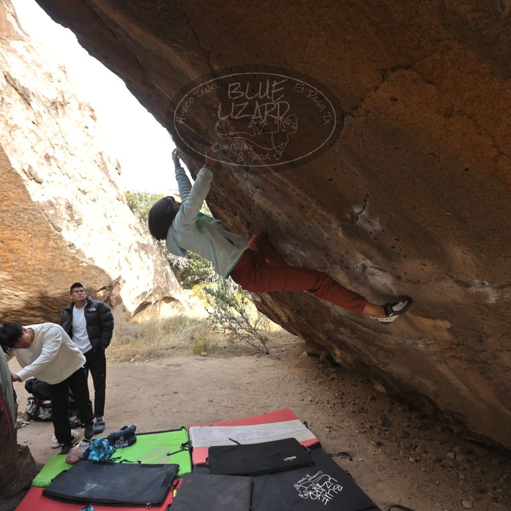 

Filename: SRM_20221220_1333210.jpg
Aperture: f/5.6
Shutter Speed: 1/500
Body: Canon EOS R6
Lens: Canon EF 16-35mm f/2.8 L