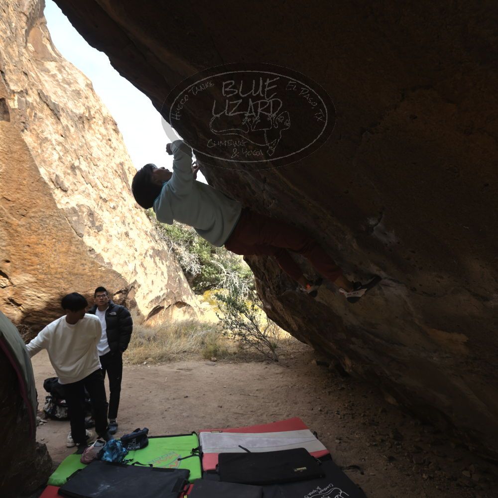 Filename: SRM_20221220_1333280.jpg
Aperture: f/5.6
Shutter Speed: 1/500
Body: Canon EOS R6
Lens: Canon EF 16-35mm f/2.8 L