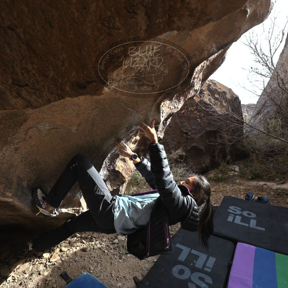 Filename: SRM_20221220_1333490.jpg
Aperture: f/5.6
Shutter Speed: 1/500
Body: Canon EOS R6
Lens: Canon EF 16-35mm f/2.8 L