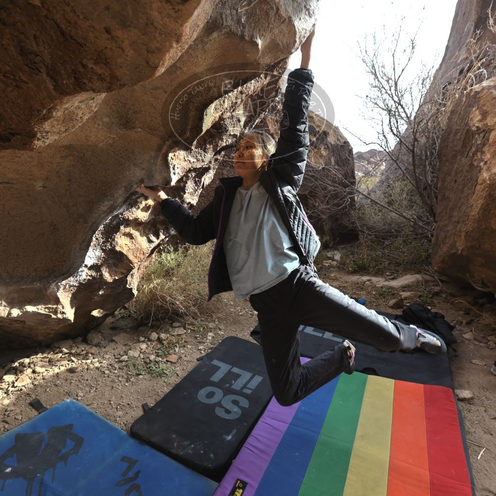 Filename: SRM_20221220_1333541.jpg
Aperture: f/5.6
Shutter Speed: 1/500
Body: Canon EOS R6
Lens: Canon EF 16-35mm f/2.8 L