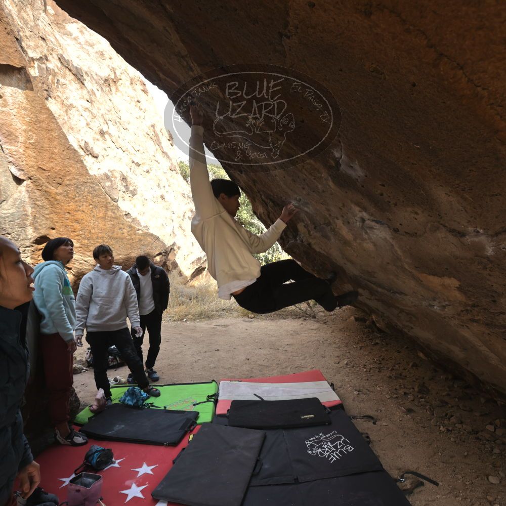 Filename: SRM_20221220_1334170.jpg
Aperture: f/5.6
Shutter Speed: 1/500
Body: Canon EOS R6
Lens: Canon EF 16-35mm f/2.8 L